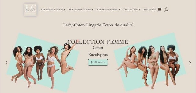 exemple de réalisation de site e-commerce de natasite